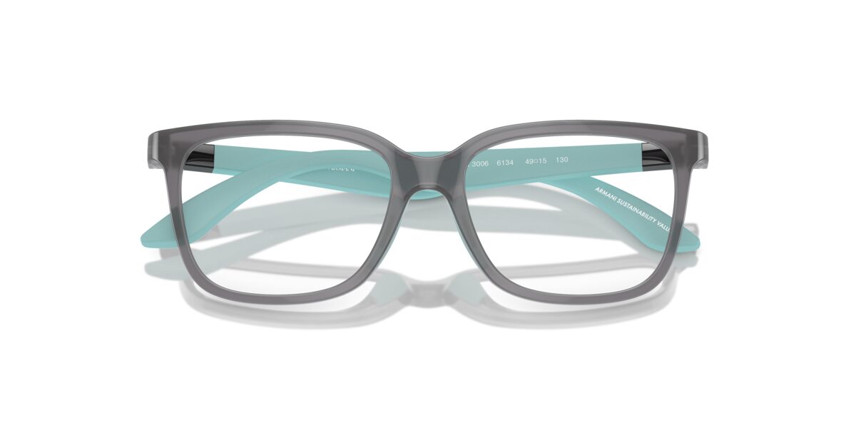 Emporio Armani EK3006 6134