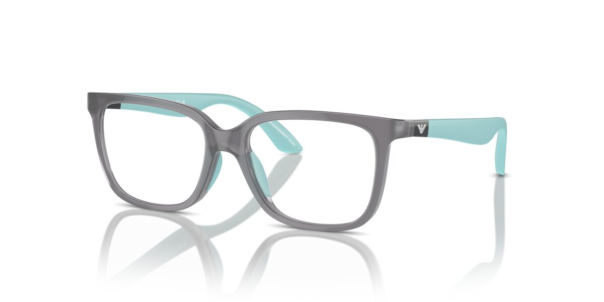 Emporio Armani EK3006 6134