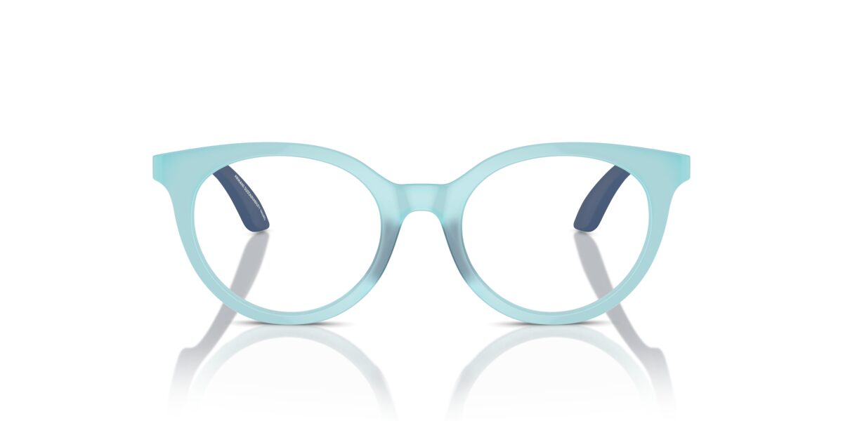Emporio Armani EK3007 6137