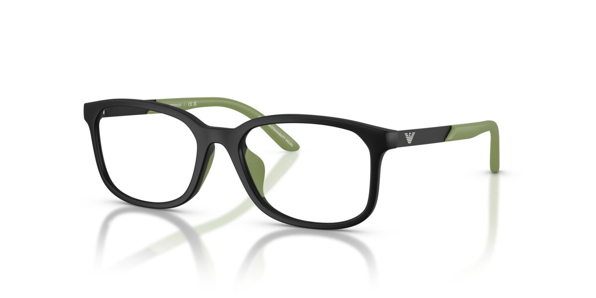 Emporio Armani EK3008U 5001