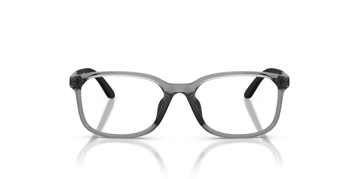 Emporio Armani EK3008U 6491