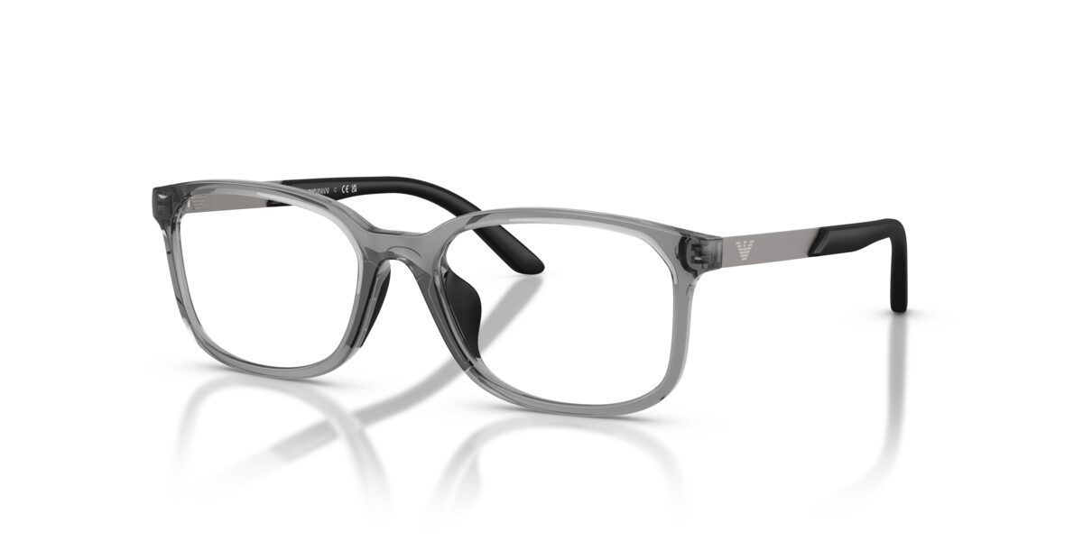 Emporio Armani EK3008U 6491