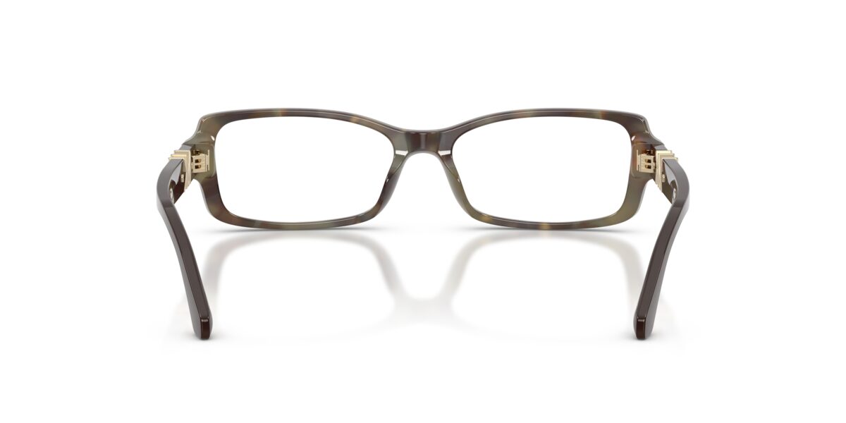 Michael Kors MK4201U BIG SUR 4061