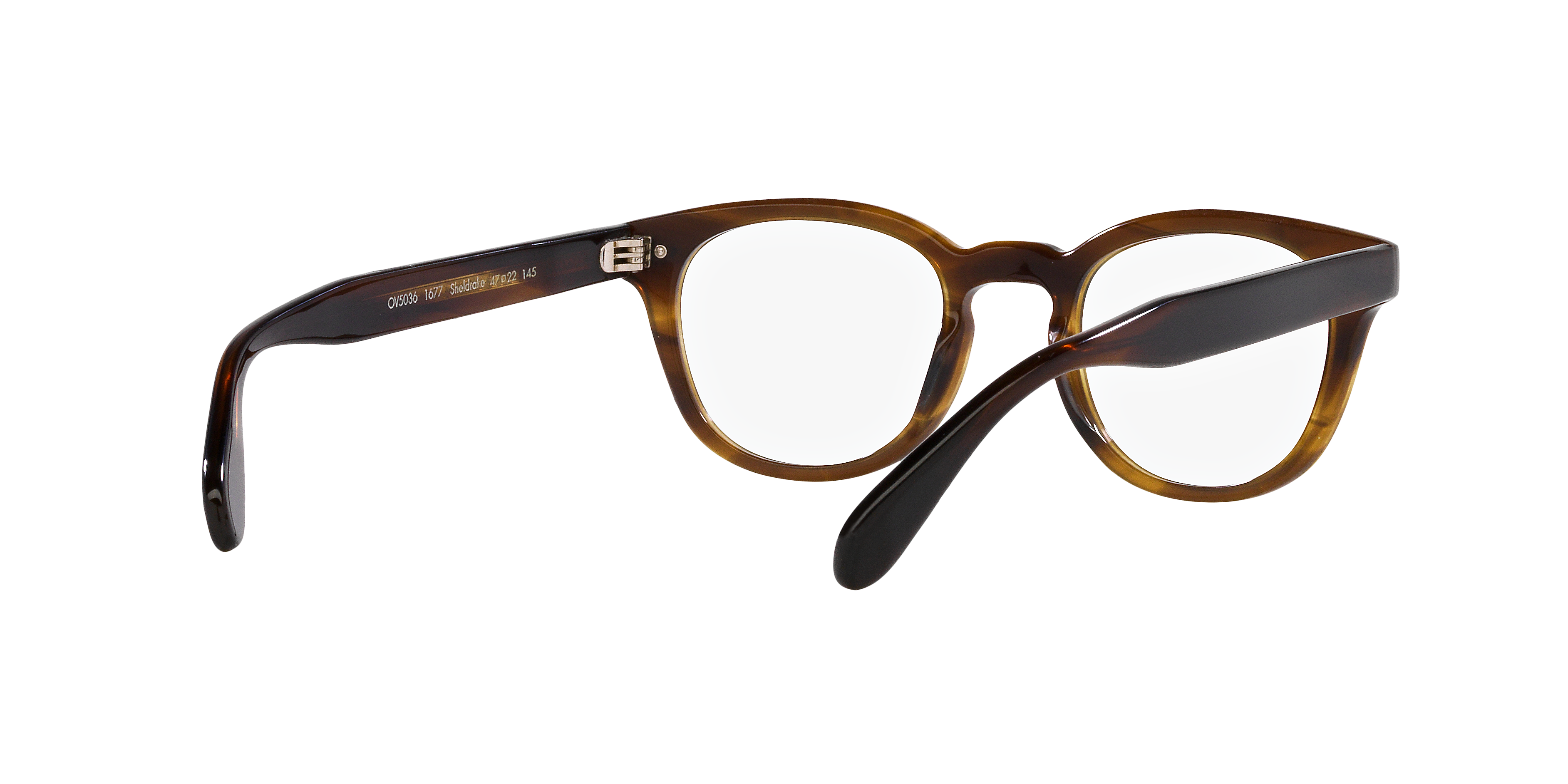 Oliver Peoples OV5036 SHELDRAKE 1677