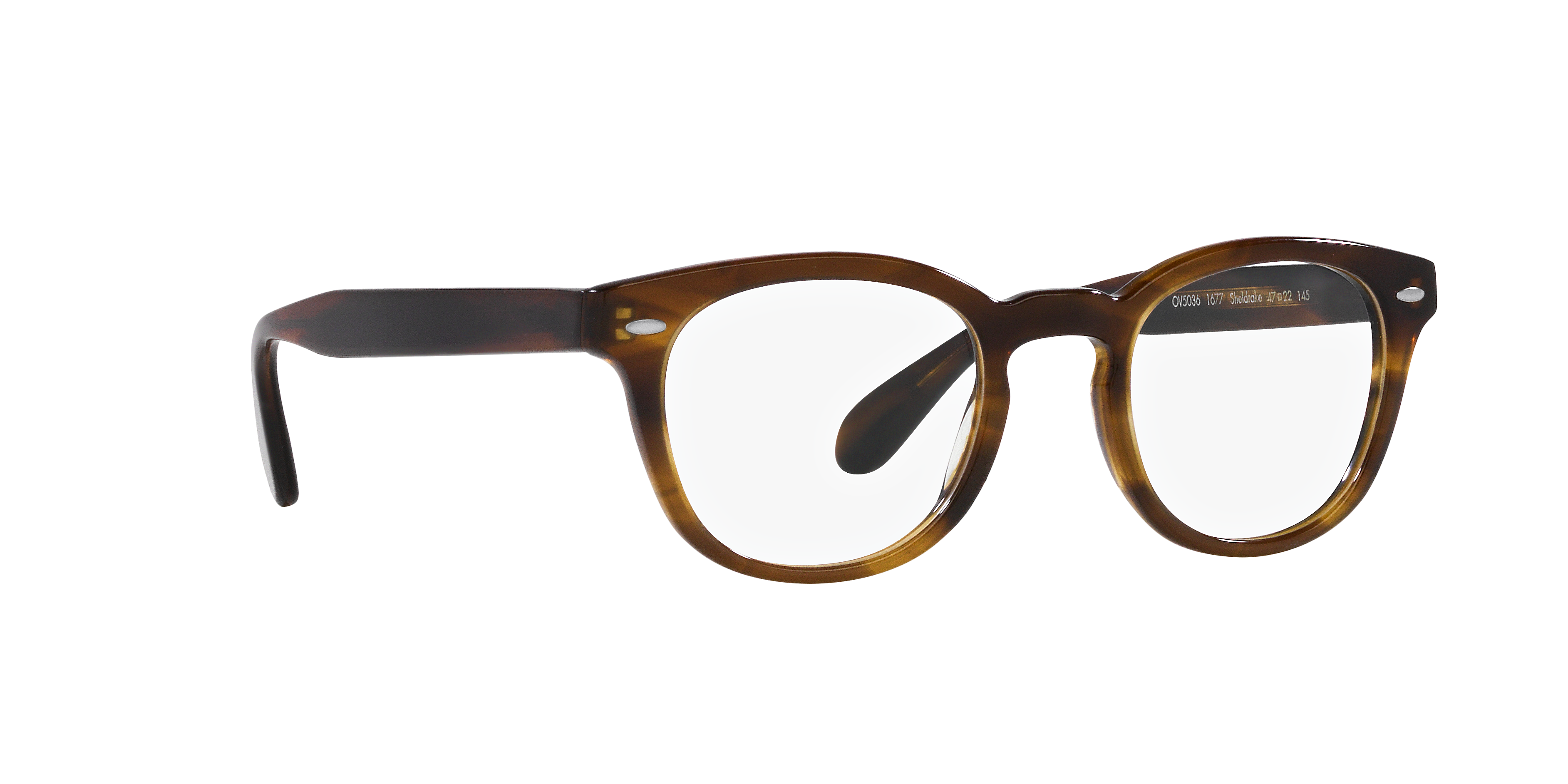 Oliver Peoples OV5036 SHELDRAKE 1677