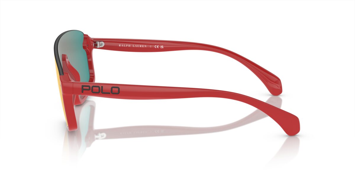 Polo PH4211U 60916Q