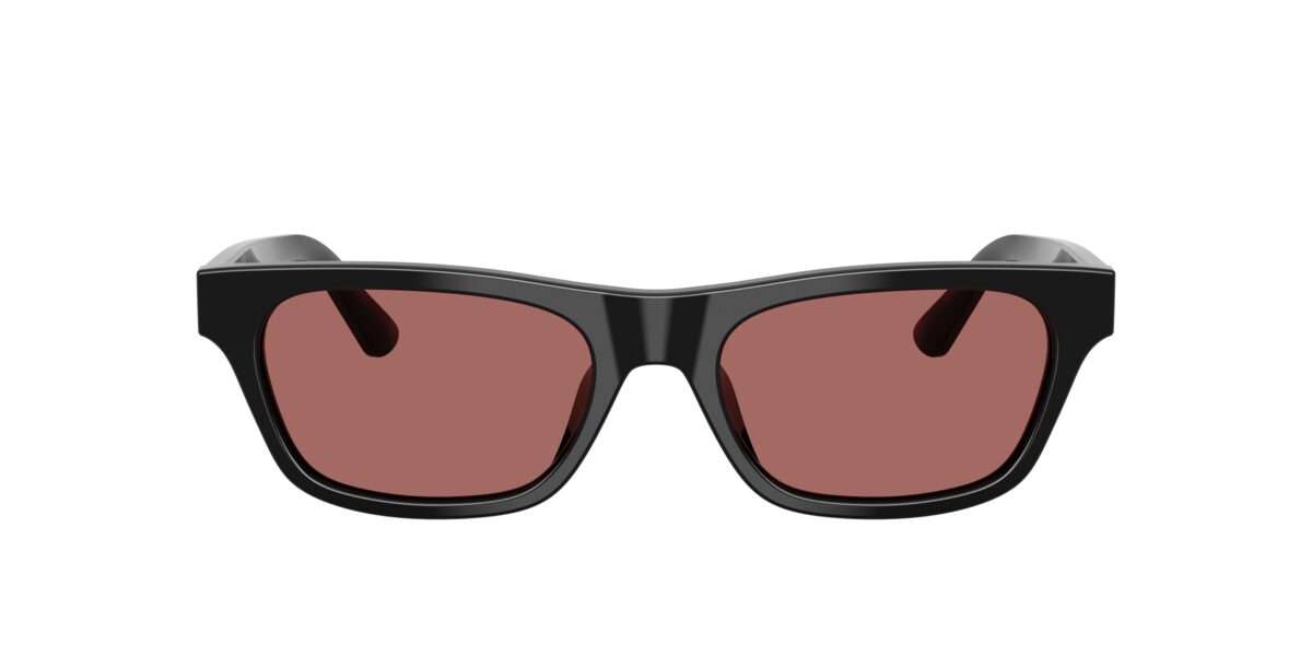 Polo PH4238U 500169