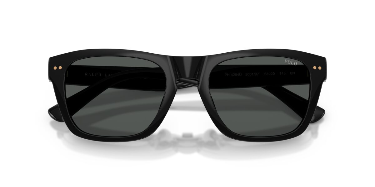 Polo PH4254U 500187
