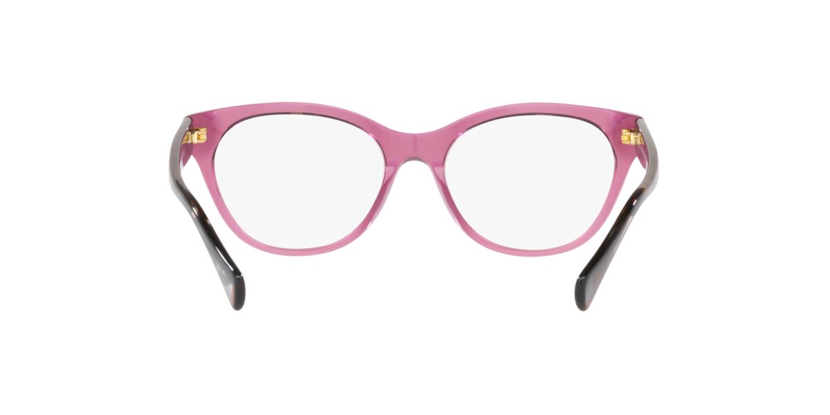 Ralph RA7141 6008
