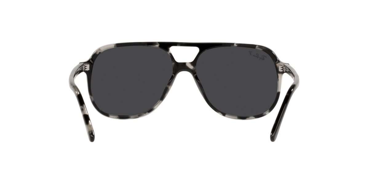 Ray-Ban RB2198 BILL 133348