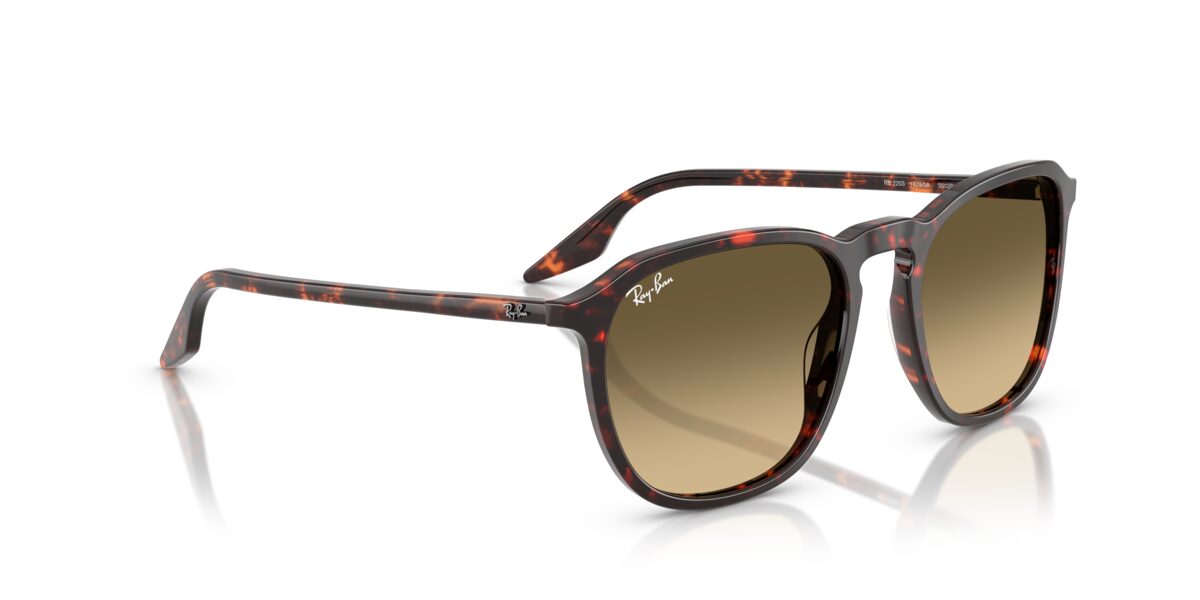 Ray-Ban RB2203 14290A