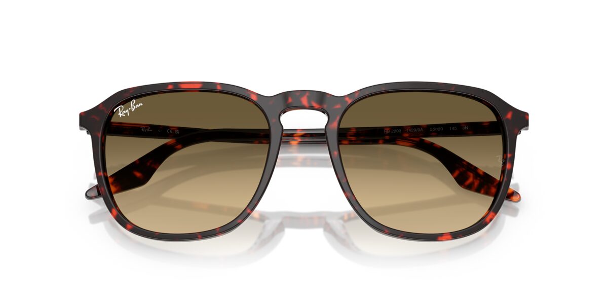 Ray-Ban RB2203 14290A
