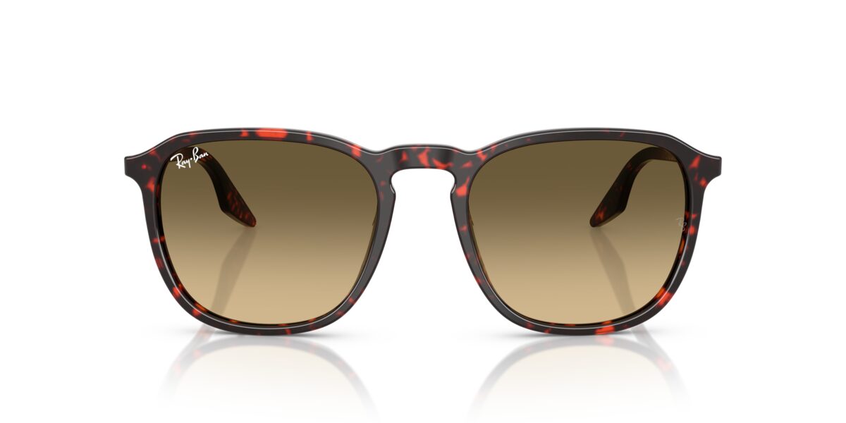 Ray-Ban RB2203 14290A