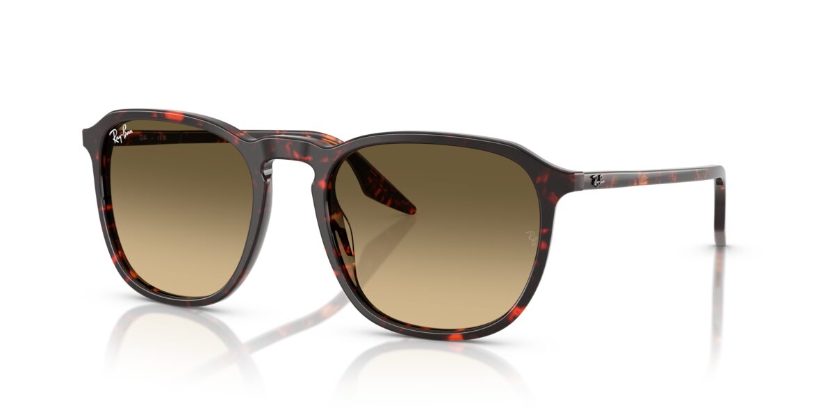 Ray-Ban RB2203 14290A