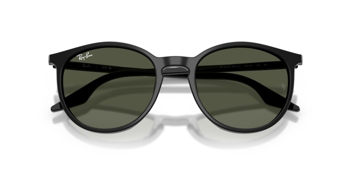 Ray-Ban RB2204 901/31