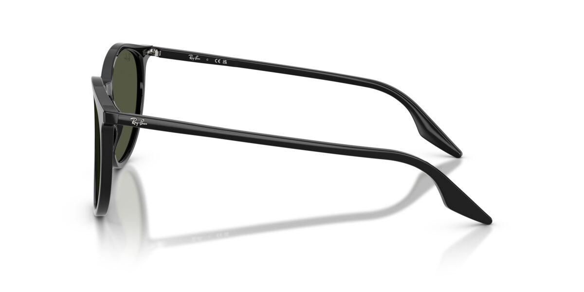 Ray-Ban RB2204 901/31