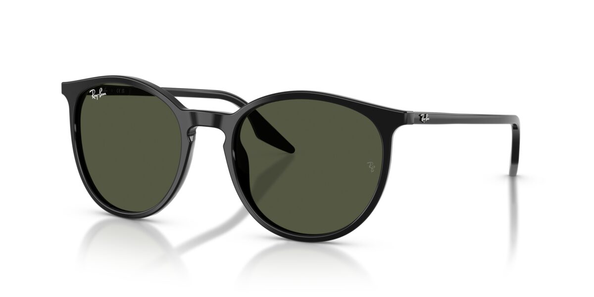Ray-Ban RB2204 901/31