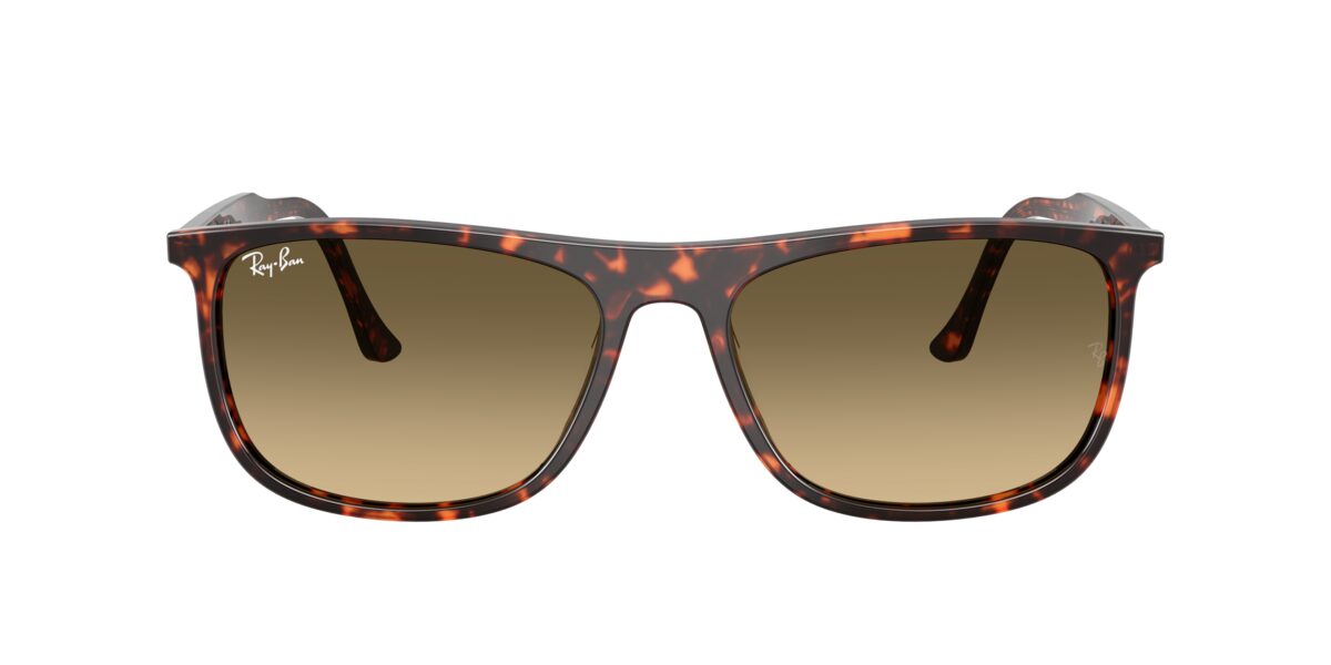 Ray-Ban RB2216 14290A