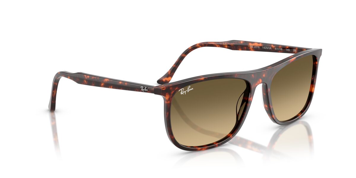 Ray-Ban RB2216 14290A