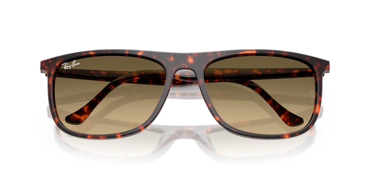 Ray-Ban RB2216 14290A