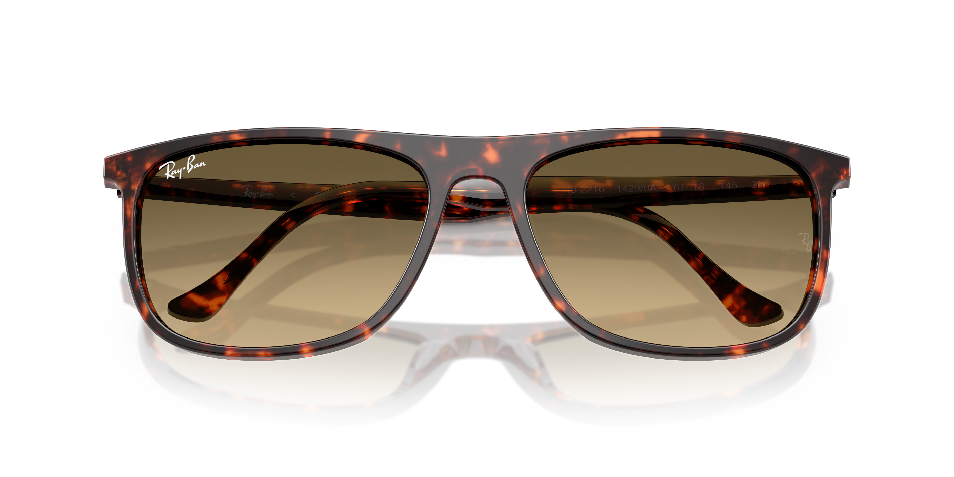 Ray-Ban RB2216 14290A