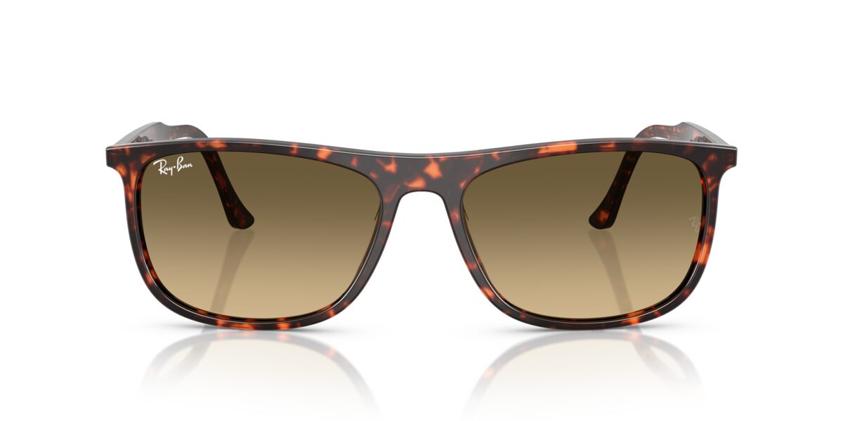 Ray-Ban RB2216 14290A