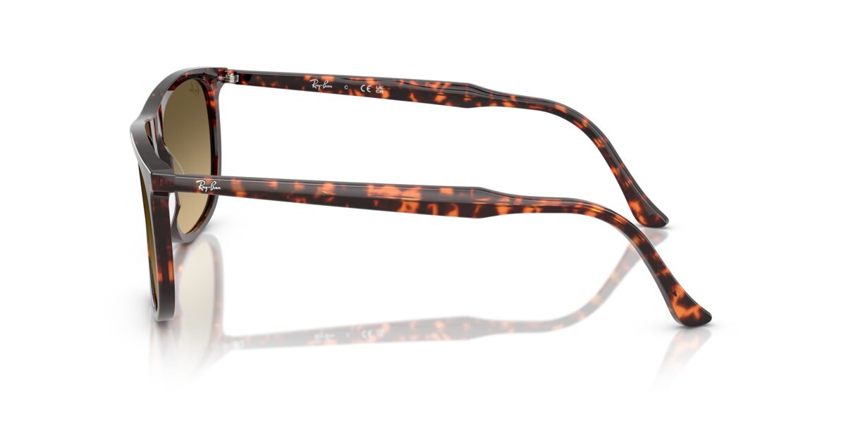 Ray-Ban RB2216 14290A