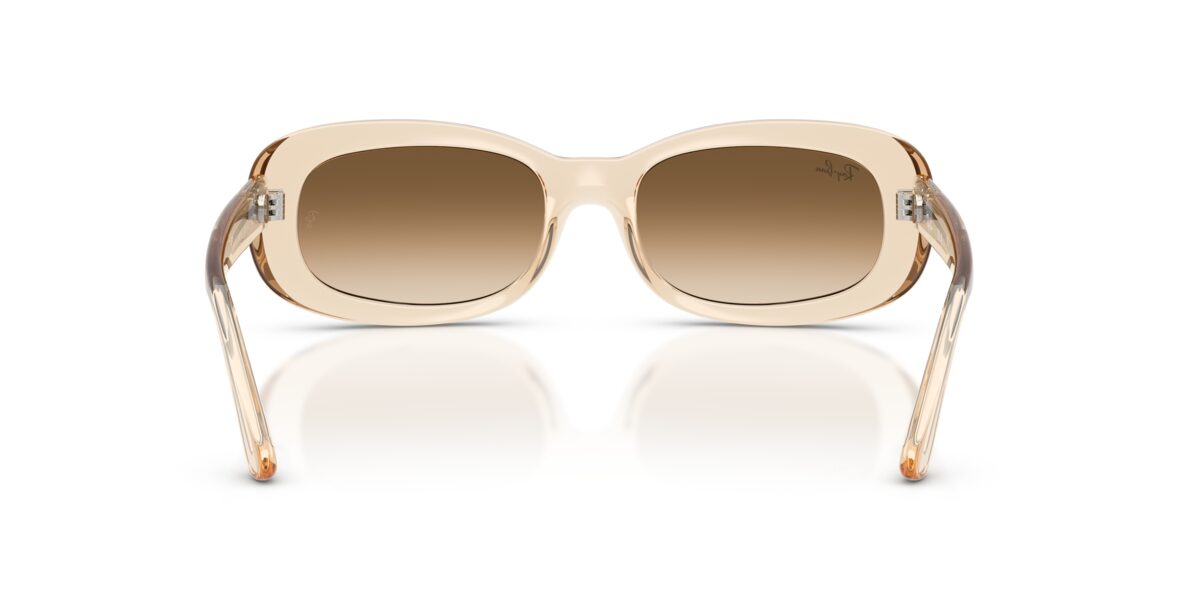 Ray-Ban RB2221 690251