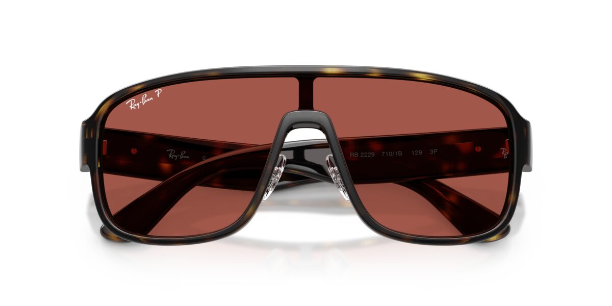 Ray-Ban RB2229 710/1B