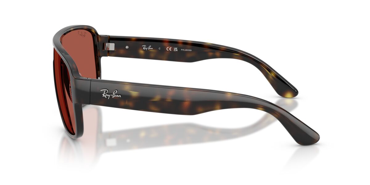 Ray-Ban RB2229 710/1B