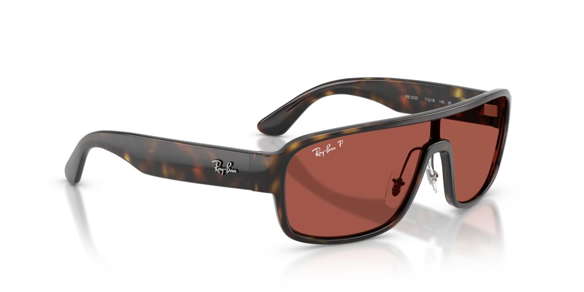 Ray-Ban RB2233 710/1B