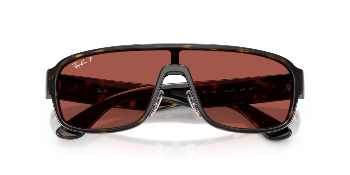 Ray-Ban RB2233 710/1B