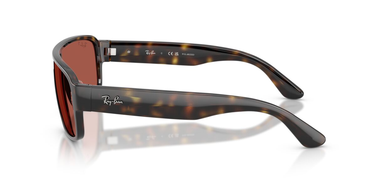 Ray-Ban RB2233 710/1B