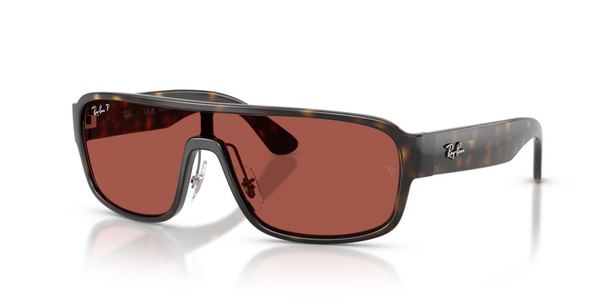 Ray-Ban RB2233 710/1B