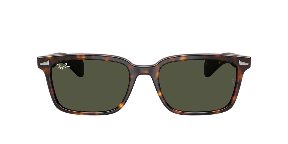 Ray-Ban RB2234 BRUNEL 902/31