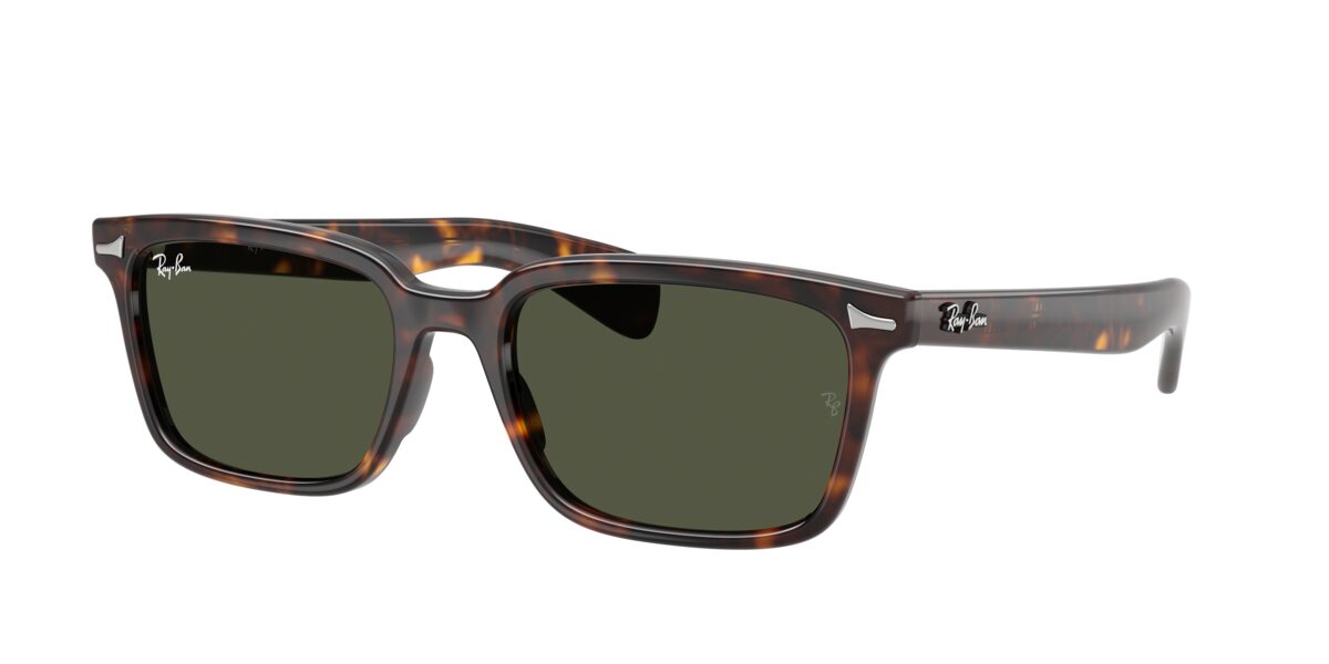 Ray-Ban RB2234 BRUNEL 902/31
