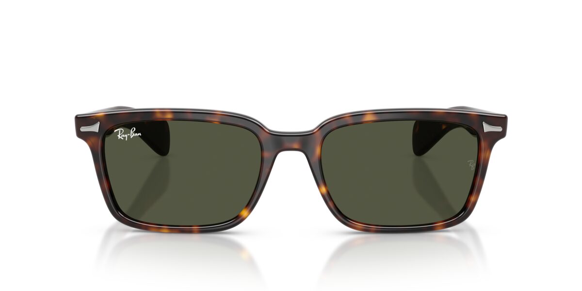 Ray-Ban RB2234 BRUNEL 902/31