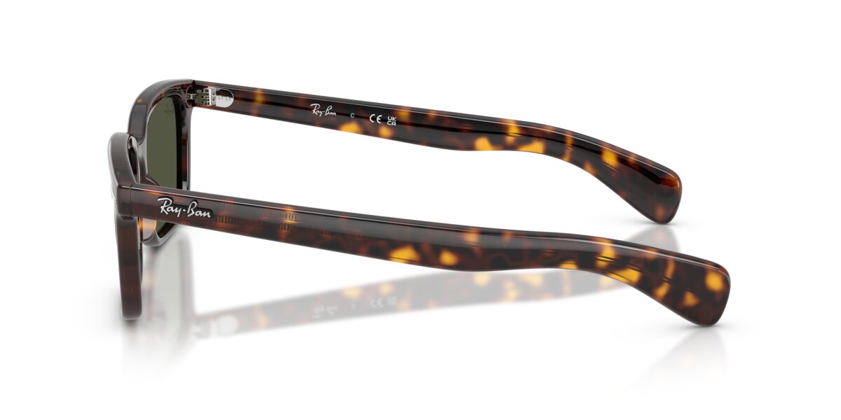 Ray-Ban RB2234 BRUNEL 902/31