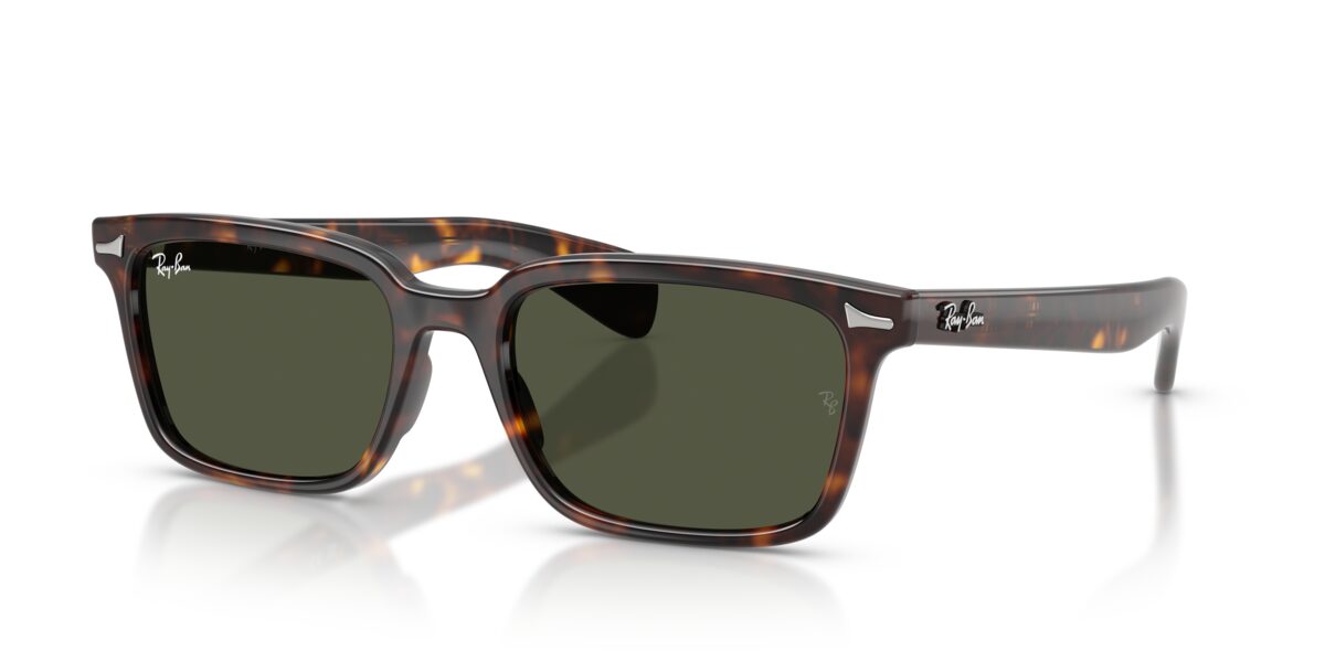 Ray-Ban RB2234 BRUNEL 902/31