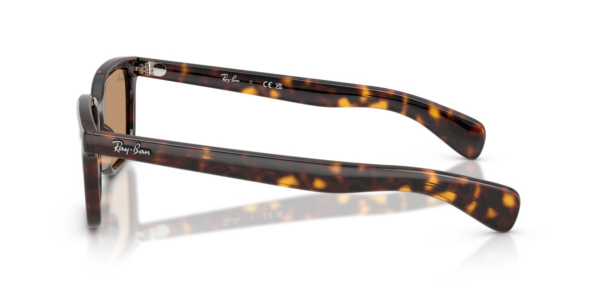 Ray-Ban RB2234 BRUNEL 902/53