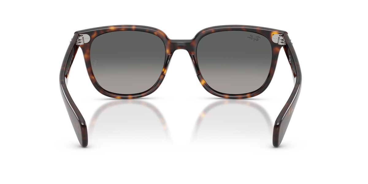 Ray-Ban RB2235 BRUNEL II 902/71