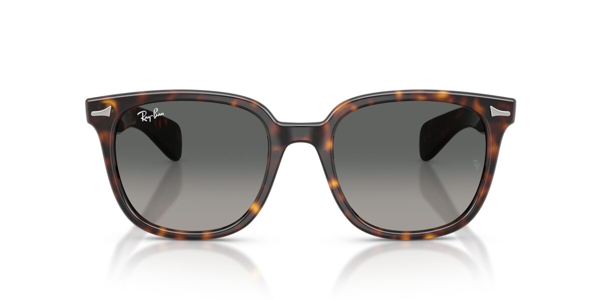 Ray-Ban RB2235 BRUNEL II 902/71