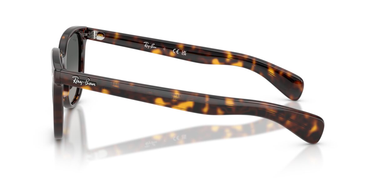 Ray-Ban RB2235 BRUNEL II 902/71