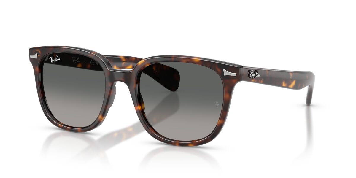 Ray-Ban RB2235 BRUNEL II 902/71