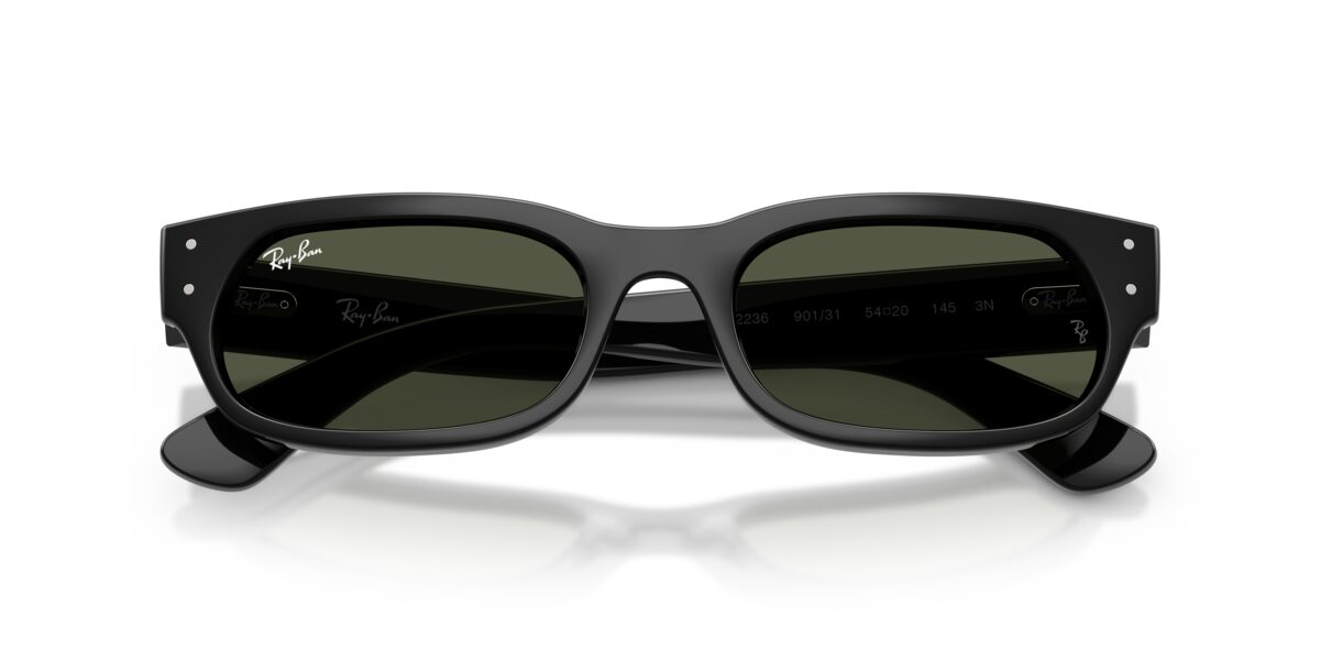 Ray-Ban RB2236 901/31