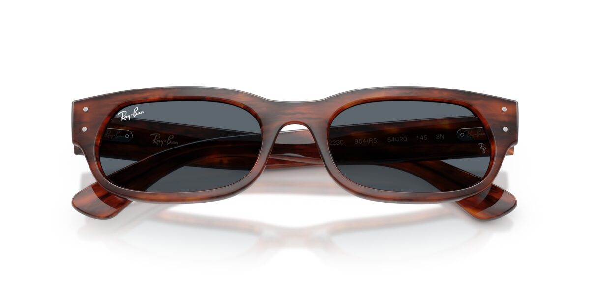 Ray-Ban RB2236 954/R5