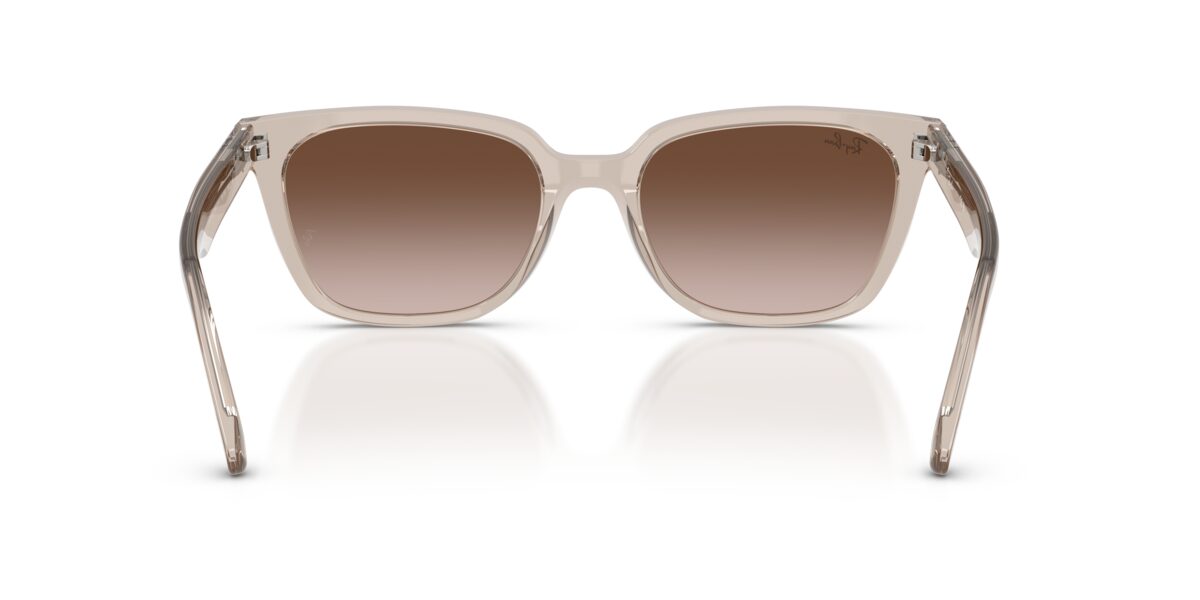 Ray-Ban RB2243D 682713