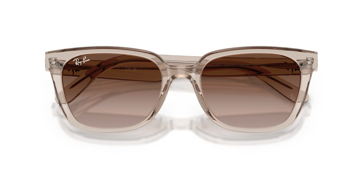 Ray-Ban RB2243D 682713