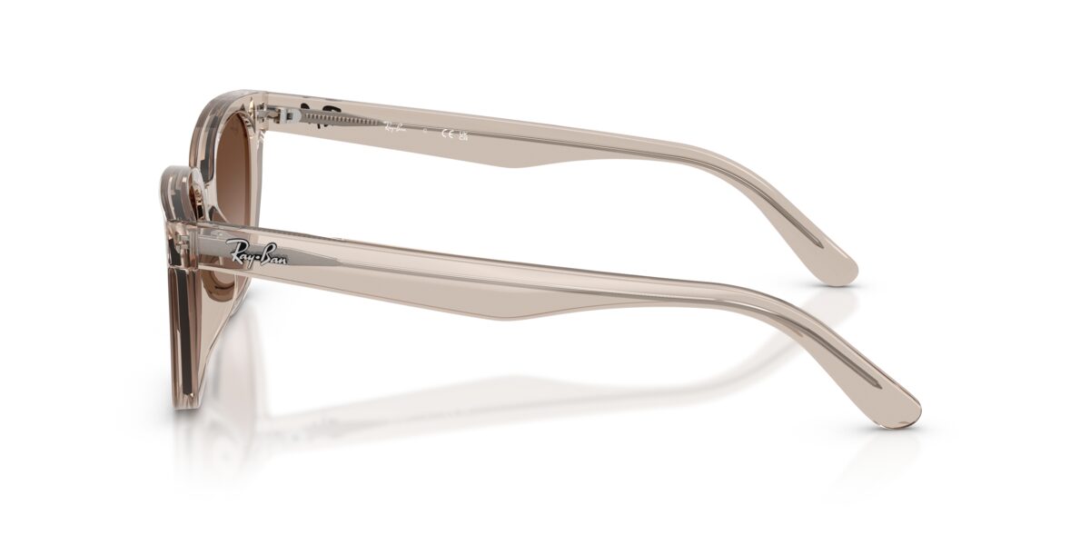Ray-Ban RB2243D 682713