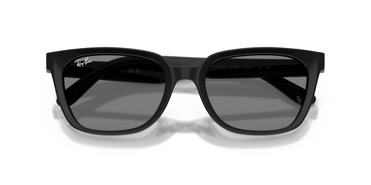 Ray-Ban RB2243D 901/87